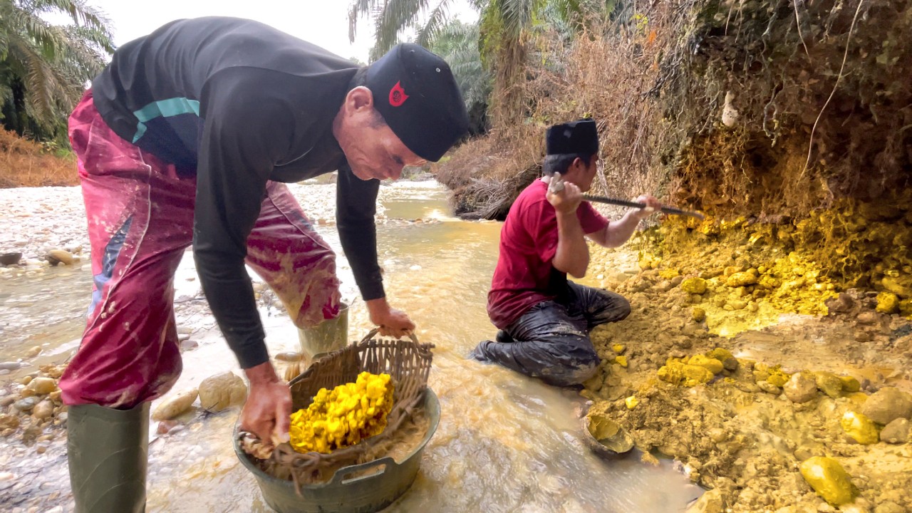 ИНДОНЕЗИЙСКИЕ ОХОТНИКИ ЗОЛОТА НА РЕКЕ БОРНЕО.! В НАЙДЕНИИ СОКРОВИЩ ЗОЛОТЫХ ПРИИСКОВ ~ ЗОЛОТЫЕ