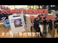 【Cat & Dog】犬の手作り乾燥箱を作ってみた