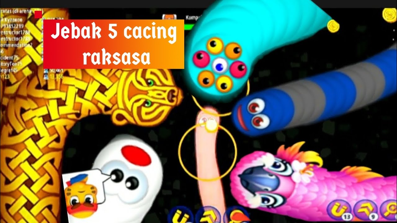 Wormszone io! Jebak 5 cacing raksasa. zona game cacing besar