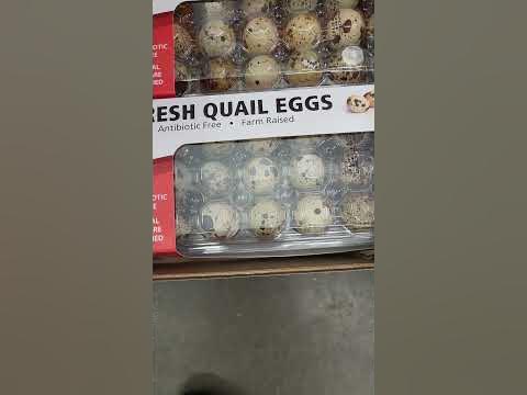 Costco Quail Eggs - YouTube
