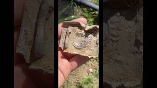 Životní nález s detektorem kovů #metaldetecting #treasuresearch #explore #metaldetector #treasure