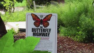 The NIEHS Pollinator Program