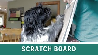 Dog Nail Trims Using a Scratch Board by FACT Academy 80,492 views 5 years ago 5 minutes, 50 seconds