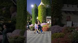 Miracle Garden Live Show