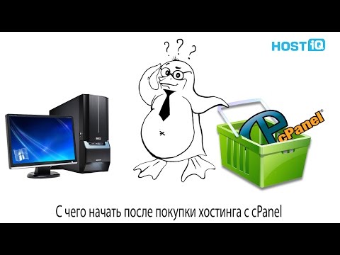 С чего начать после покупки хостинга с cPanel | HOSTiQ