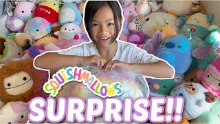 SQUISHMALLOWS SURPRISE | Vlog with Emma