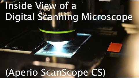 Whole Slide Scanning Microscopy (Aperio ScanScope)