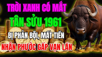 Trời Xanh Có Mắt,Tân Sửu 1961  Bị Phản Bội, Mất Tiền, Nhưng Hậu Vận Trời Ban Phúc Gấp Vạn lần
