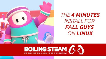 Install Fall Guys on Linux In Less than 4 Minutes!
