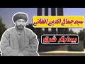 زندگینامه سید جمال الدین افغانی اسدآبادی پدر رنسانس اسلامی از تولد تا مرگ