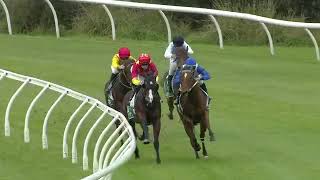 Mafia & Parmenio Quinella at Wyong - The Iris Foundation - Wrc Charity Partner Maiden Plate (1000m) screenshot 5