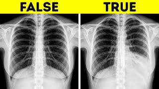 25 Bite-Sized Body Facts to Wow and Amaze Net Worth