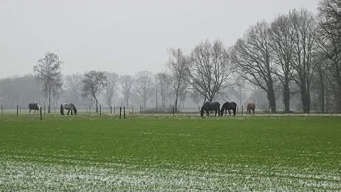 1674 Veldhoven-Knegsel (Noord Brabant, NL) 8,6 km