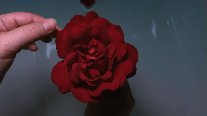 The Paper Kites - Dearest (feat. Lydia Cole)