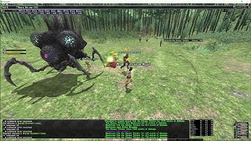 FFXI Kasnuaku and crew GLassy thinker Puppet master guide