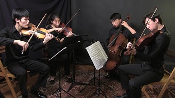 1st Movement - Grieg Quartet, Op. 27 - Vox Quartet