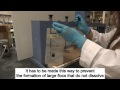 Polymer Preparation for Sludge Dewatering Testing in the Lab