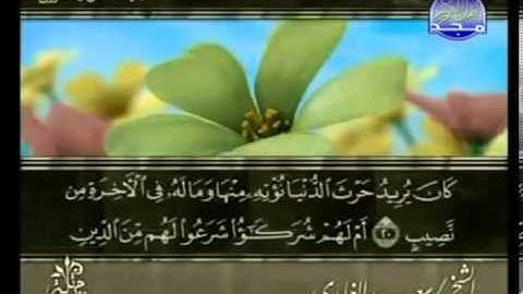 سورة الشورى تلاوة خاشعه للشيخ سعد الغامدي