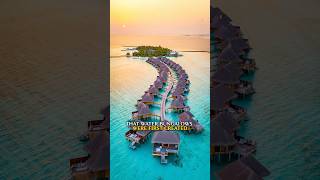 Bora Bora & Tahiti — where the ocean glows turquoise, time slows down, and paradise feels real.