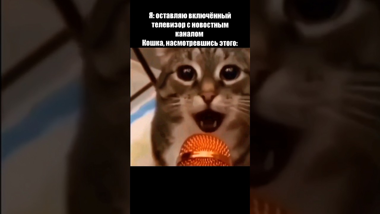 Раша, раша, держава наша😁 | 