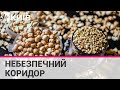 Росія може скористатися коридором для експорту зерна та напасти на Одесу