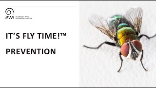 It’s Fly Time! – Prevention