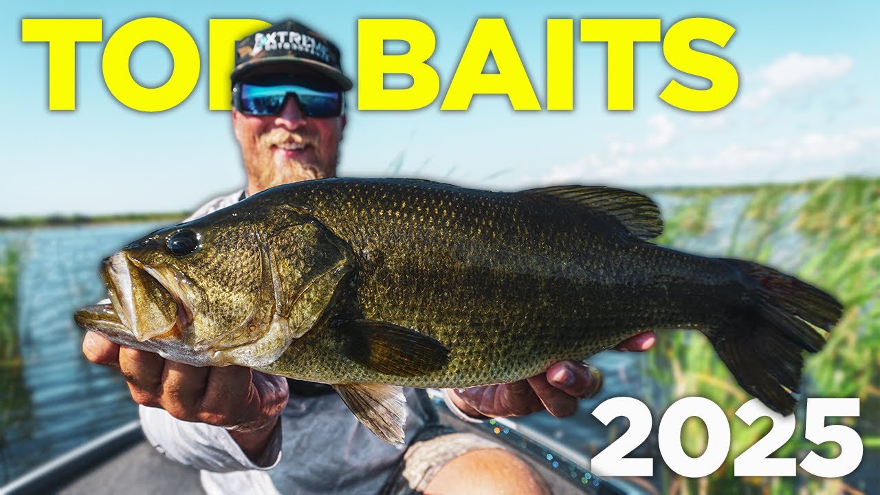 Top Lures That Caught My Biggest Bass Of 2025 (How To Fish Them)