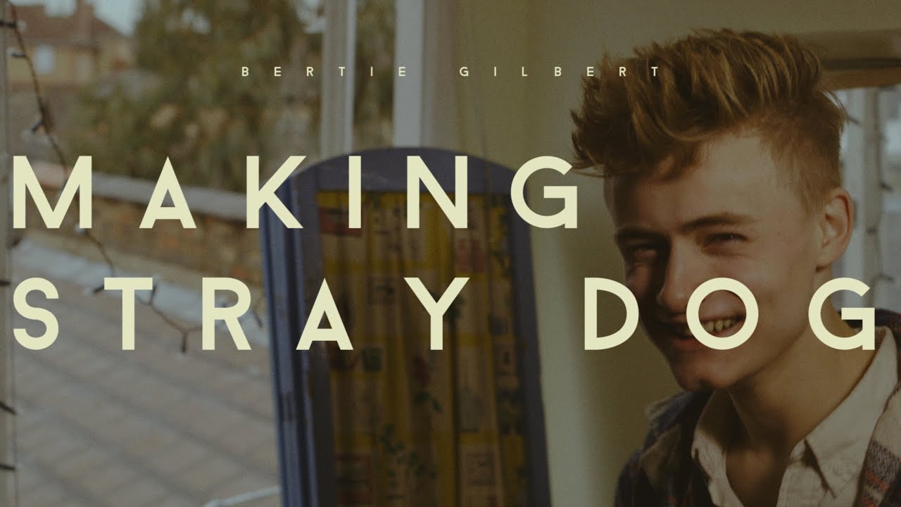 STRAY DOG making of (2013) YouTube