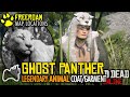 Red dead online how to get the legendary ghost panther coat garment naturalist map locations