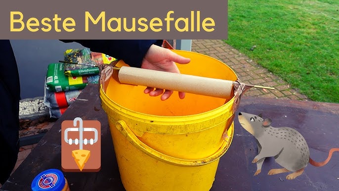 DIY Mausefalle & Rattenfalle aus Flasche bauen / Lebendfalle