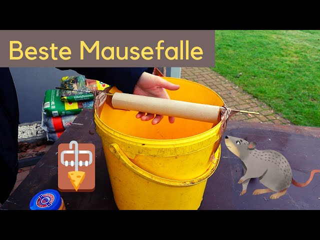 Mausefalle  DIY lebende Falle aus Eimer im Test - YouTube