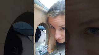 RABBIT BITES GIRL