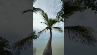 Conociendo la Isla de Tamalcab, Está en Calderitas Quintana Roo. #VisitaQuintanaRoo