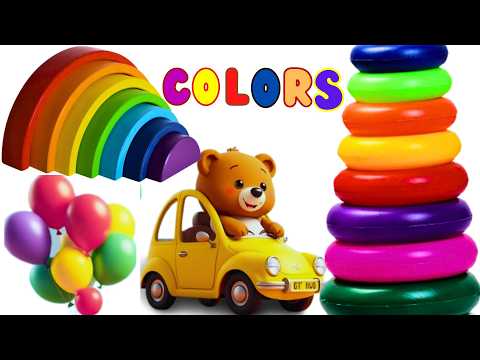 Learn Basics of Colors and Addition from Mr. Bunny