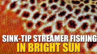 SinkTip Streamer Fly Fishing in BRIGHT SUN & Low Clear Water. How to Catch Brown Trout on Streamers