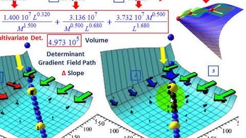 Linear Programming (Matrix Determinant Sum Of Products, Slope, Volume, Gradients, Visual, Etc.)