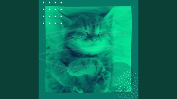 Pulsating Ambience for Comfy Cats