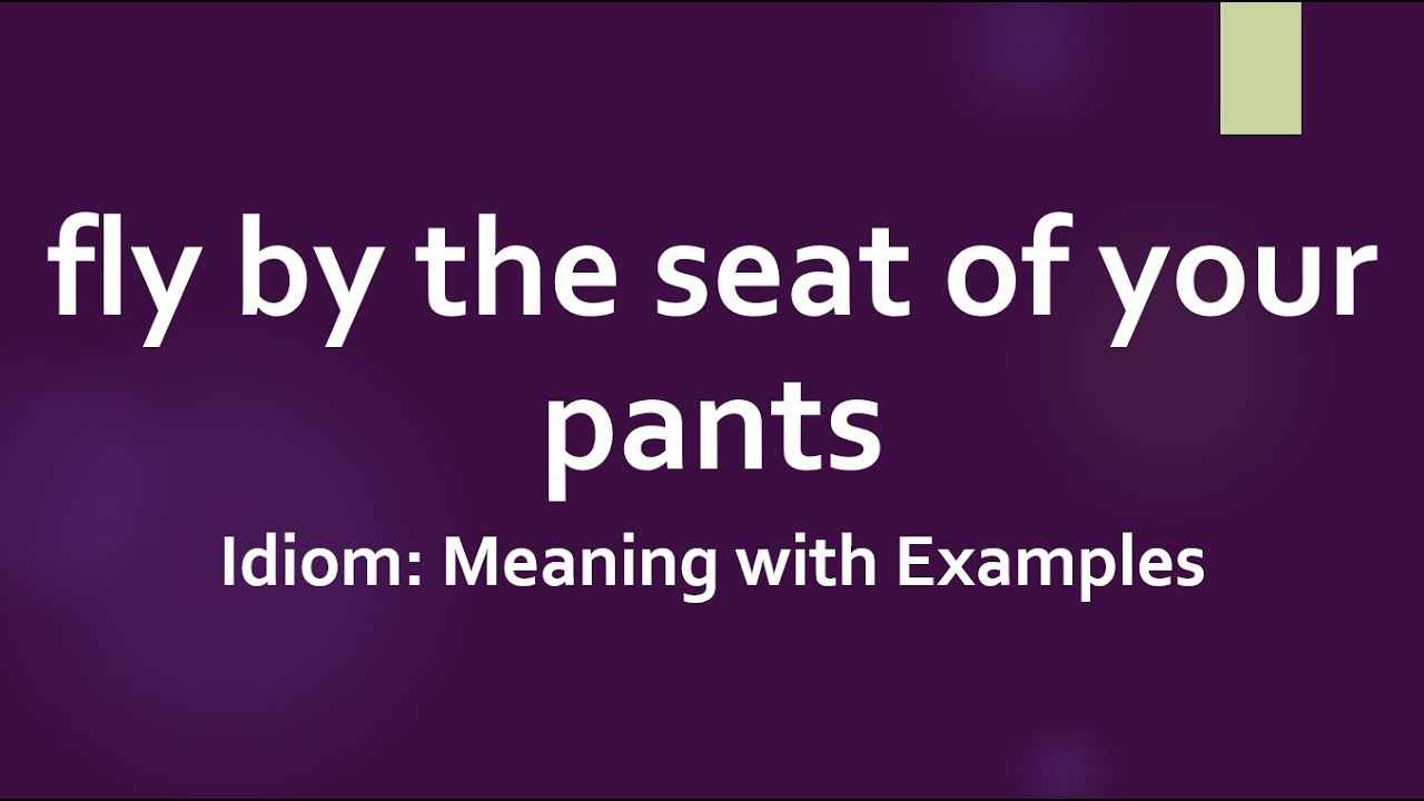 Definition & Meaning of Pants