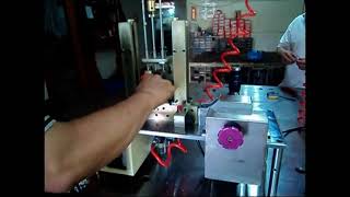 Automatic EE lamination insertion machine E-19