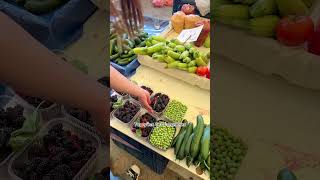 Как экономить в турции 30$ каждый день. #турция #отдыхвтурции