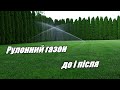 Рулонний газон. До і після