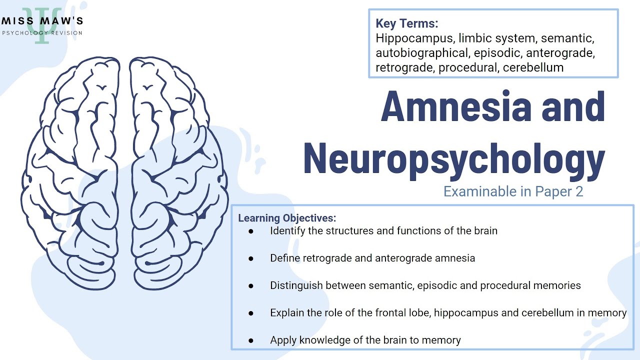 psychology case study anterograde amnesia