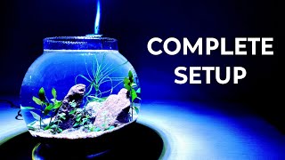 Complete Planted Bowl Setup for Betta Fish 🐠 | Easy & Natural Aquarium Setup