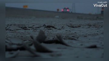 ومن اظلم ممن ذكر بآيات ربه فأعرض عنها للقارئ إسلام صبحي
