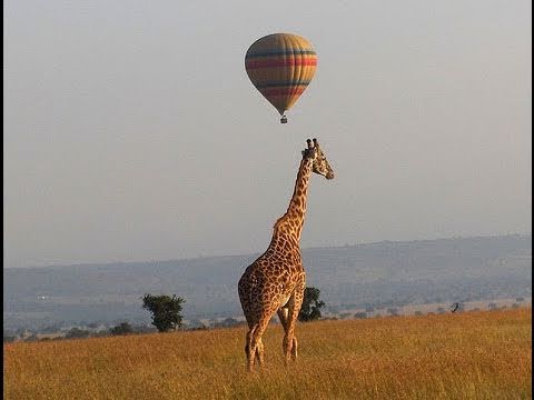 Kenya: dai sarafi nella savana fino a Malindi