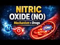 Nitric Oxide (NO) Pharmacology Made Easy | Mechanism, Drugs &amp; Clinical Uses