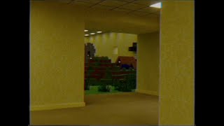 Minecraft In Backrooms? Found Footage