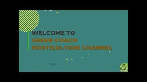 Horticulture JRF-Important Bits Of Pineapple 🍍