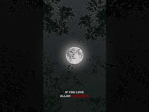 Beautiful sound ,