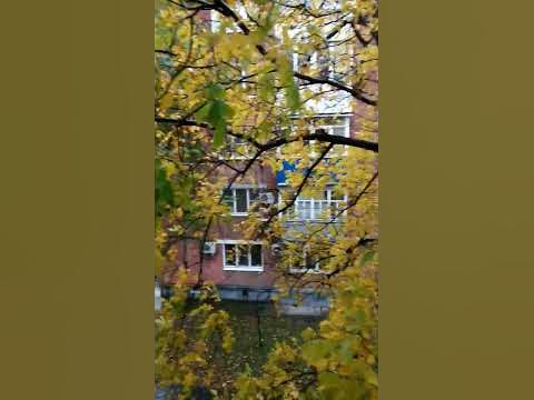 погода Армавир дождь идёт - YouTube
